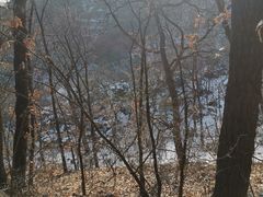 -阳台山自然风景区