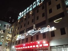 -陕西省小天鹅艺术团