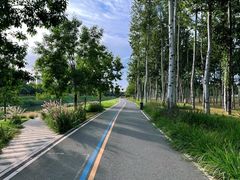 -坝河休闲公园