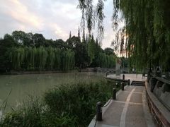 -温江公园