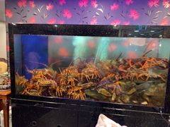 -渔洲情海鲜酒家