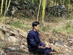 -天目山大树王景区