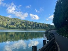 -武陵山森林公园