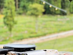 -武陵山森林公园