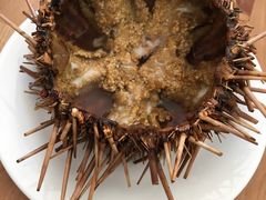 -海胆小馆(东北水饺·春柳店)