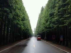 -日照海滨国家森林公园
