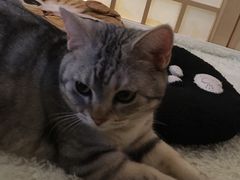 -小时光咖啡馆(开森度假森林店)