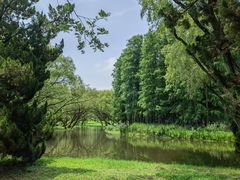 -上海共青森林公园