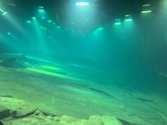 -白鹤梁水下博物馆