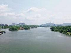 -长广溪湿地公园