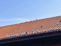 -顺峰山公园