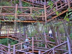 -大岭沟猕猴桃谷风景区