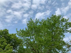 -麦当劳(杭州萧山文源店)