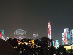 -莲花山公园