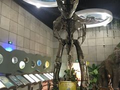 -诸城市恐龙博物馆