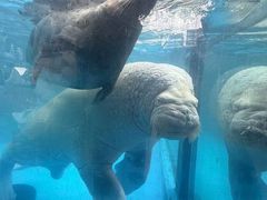-海合安成都极地海洋公园