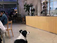 大堂-VOYAGE COFFEE 咖啡烘焙工坊店(798艺术区店)