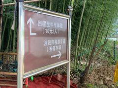 -杭州双溪漂流景区