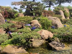 -罗红摄影艺术馆