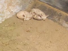 -北戴河圣蓝海洋公园