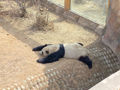 -青藏高原野生动物园