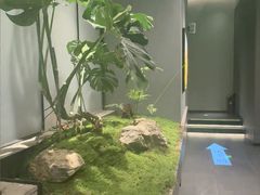-望京辣宴·古法川菜(望京店)