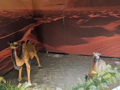 -巴尔喀十新疆餐厅(开发区店)