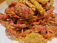 -杨氏青龙虾·羊蝎子(珠江路店)
