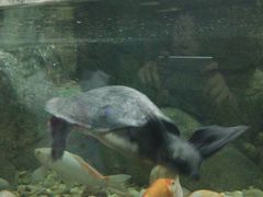 -苏州海洋馆