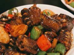 红烧鳝段-三酉星·枫·山風与野菜(上海总店)