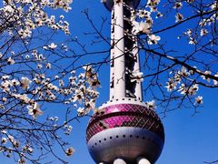 -东方明珠广播电视塔