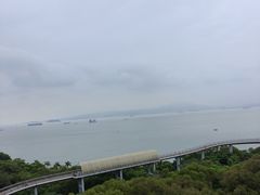 -仙岳公园
