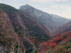 -黄花溪