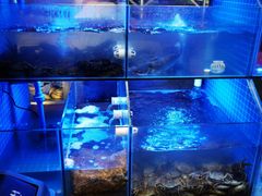 -三毛烧烤·南昌大排档(山姆店)