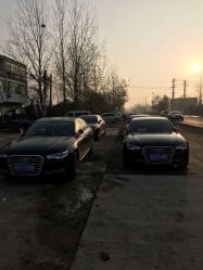 -蚂蚁婚车