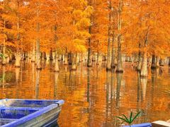 -白鹭湾湿地公园