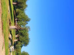 -汉长安城未央宫国家考古遗址公园