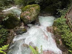 -西岭雪山大飞水景区