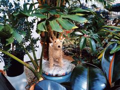 -三圣花乡旅游区