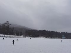 -武陵山森林公园
