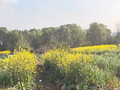 -传统菜农庄(皇姑路店)