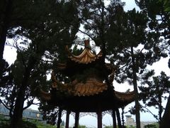 -嘉定紫藤园