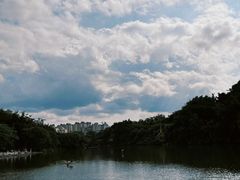 -曼听御花园