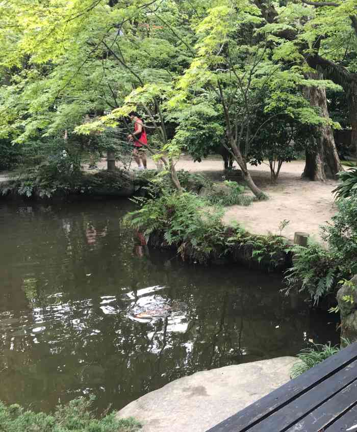 "-大众点评移动版