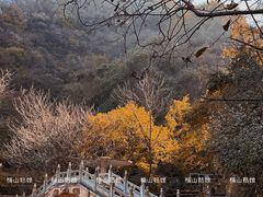 -西安祥峪森林公园