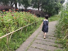 -长兴太湖图影湿地文化园