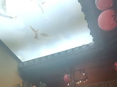 -徽三说·土徽菜·中国徽菜连锁品牌(一中店)