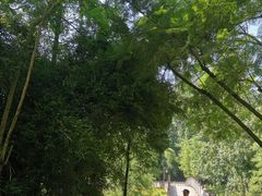 -重庆彩云湖湿地公园