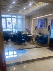 -碧莲盛·不剃发植发