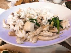 白灼鱿鱼-鹏城人家海鲜酒家·23年老字号(较场尾店)